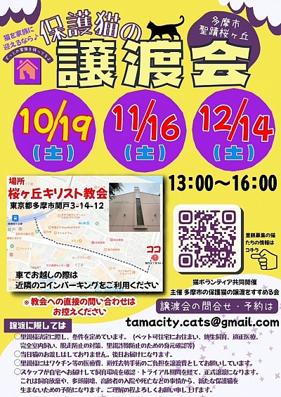 多摩市　聖蹟桜ヶ丘　保護猫譲渡会