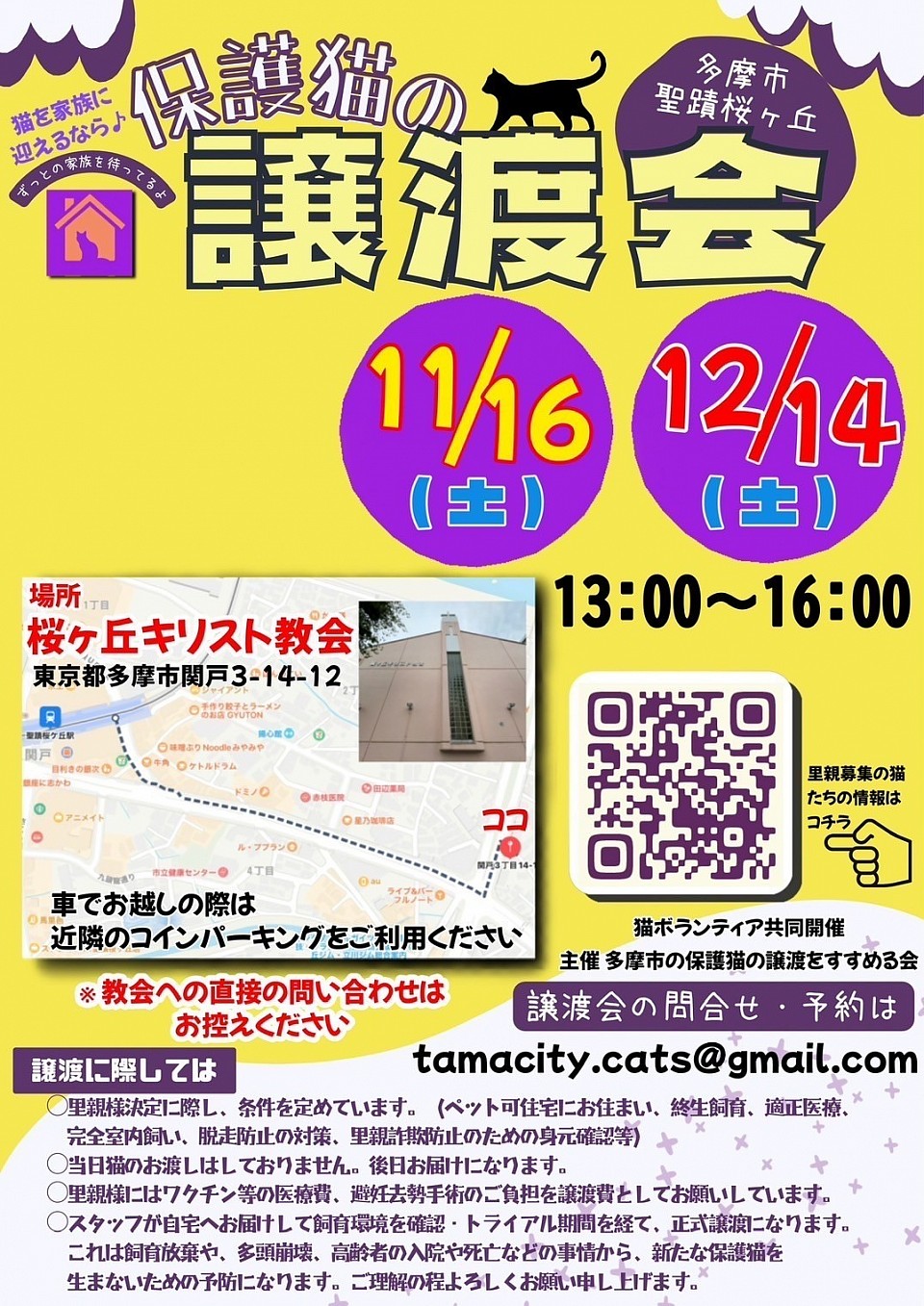 2024/11/16(土) 保護猫の譲渡会　聖蹟桜ヶ丘