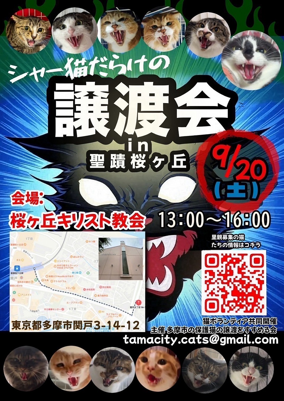 2025/9/20 保護猫譲渡会　聖蹟桜ヶ丘(多摩市関戸)