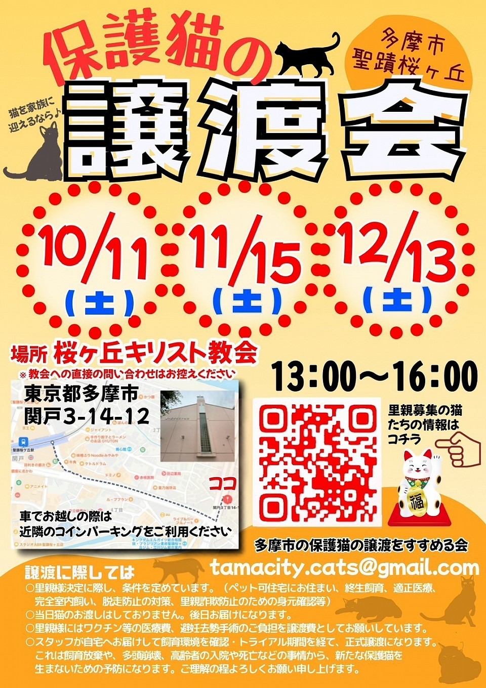保護猫の譲渡会 聖蹟桜ヶ丘