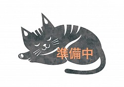 市役所譲渡会　準備中