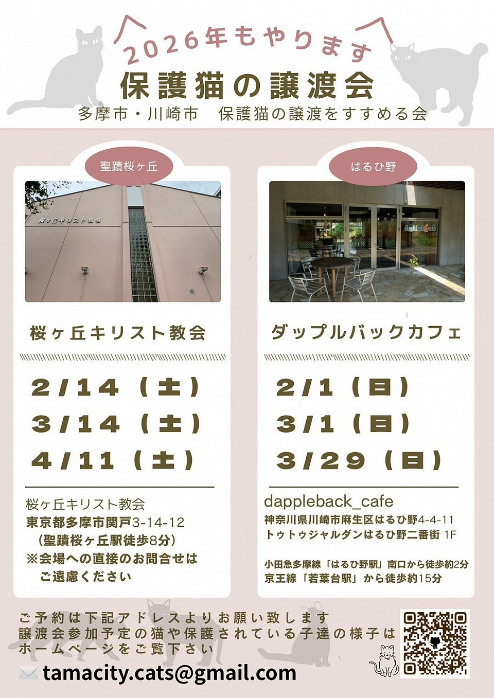 保護猫譲渡会　多摩市聖蹟桜ヶ丘　& 川崎市麻生区はるひ野