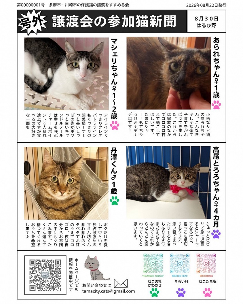 保護猫譲渡会　川崎市麻生区はるひ野