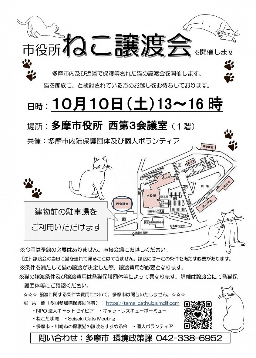 多摩市役所　ねこ譲渡会