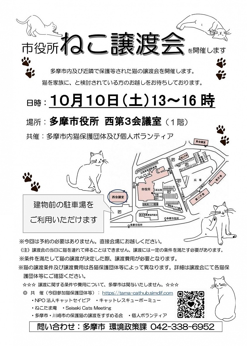 多摩市役所　ねこ譲渡会