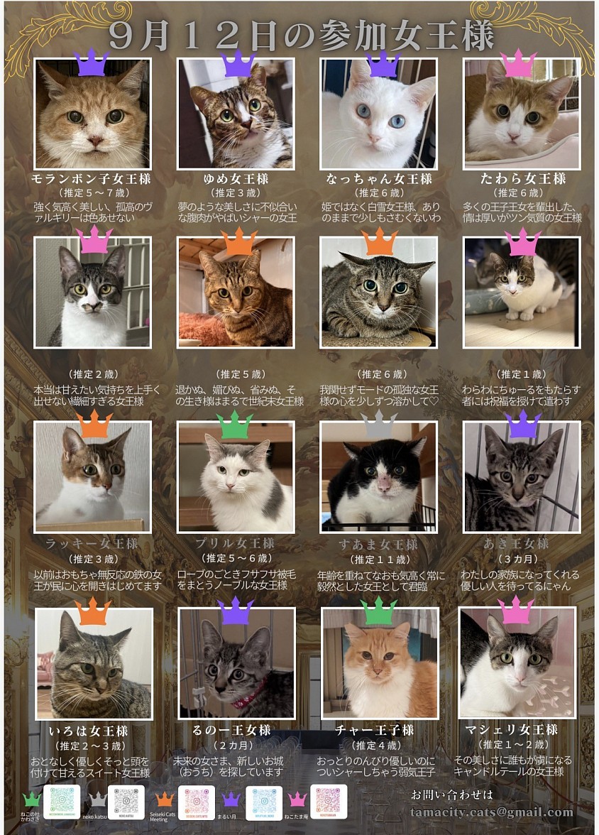 聖蹟桜ヶ丘　猫の譲渡会　参加猫ちゃんのご紹介